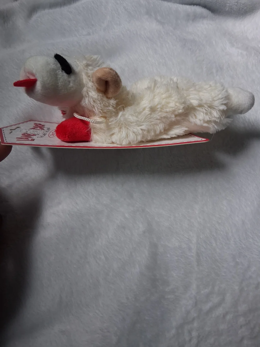 LAMB CHOP, Squeeky Dog Toy Small 6